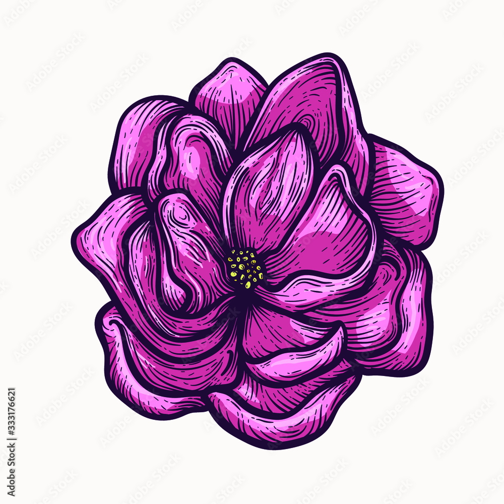 Obraz premium Peony blooming flowers hand drawn isolated colorful and outline vector clipart. plant elements for graphic design and your creative projects, posters, postcards, invitations and tattoos.