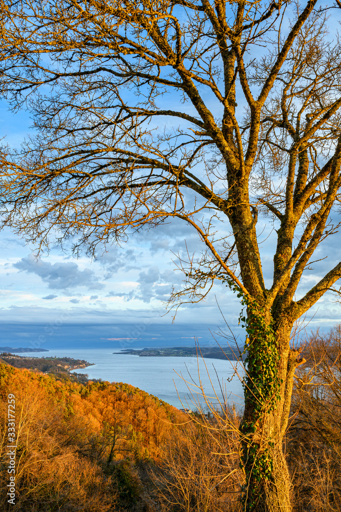 Ausblick über den Bodensee, bei Überlingen Ausblick über den Bodensee, bei Überlingen