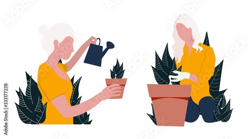 Girl watering flowers. Woman replants houseplants. Vector illustration on a white background