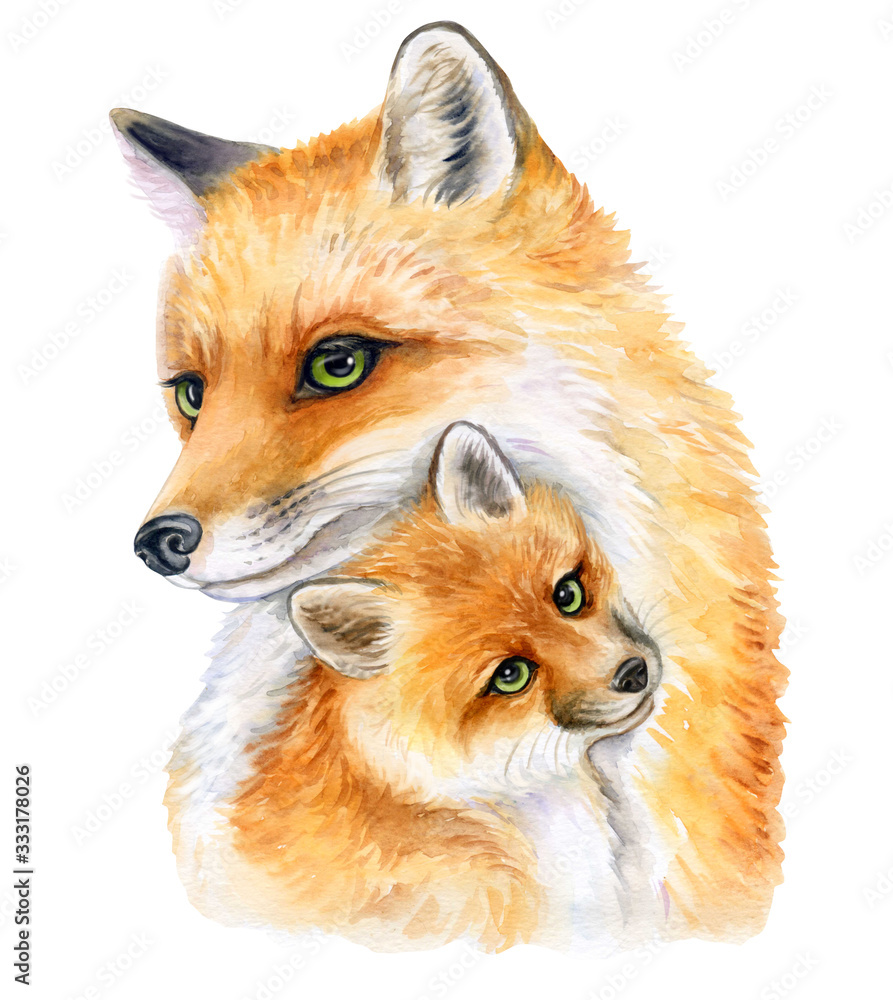 Fototapeta premium Foxes. Mum with a child isolated on a white background. Fox mum and baby. Watercolor. Template. Clipart. Mothers Day. Greeting card design. Concept of love, motherhood. Breast-feeding. Emblems.