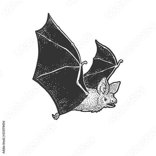 flying bat sketch engraving vector illustration. T-shirt apparel print design. Scratch board imitation. Black and white hand drawn image.