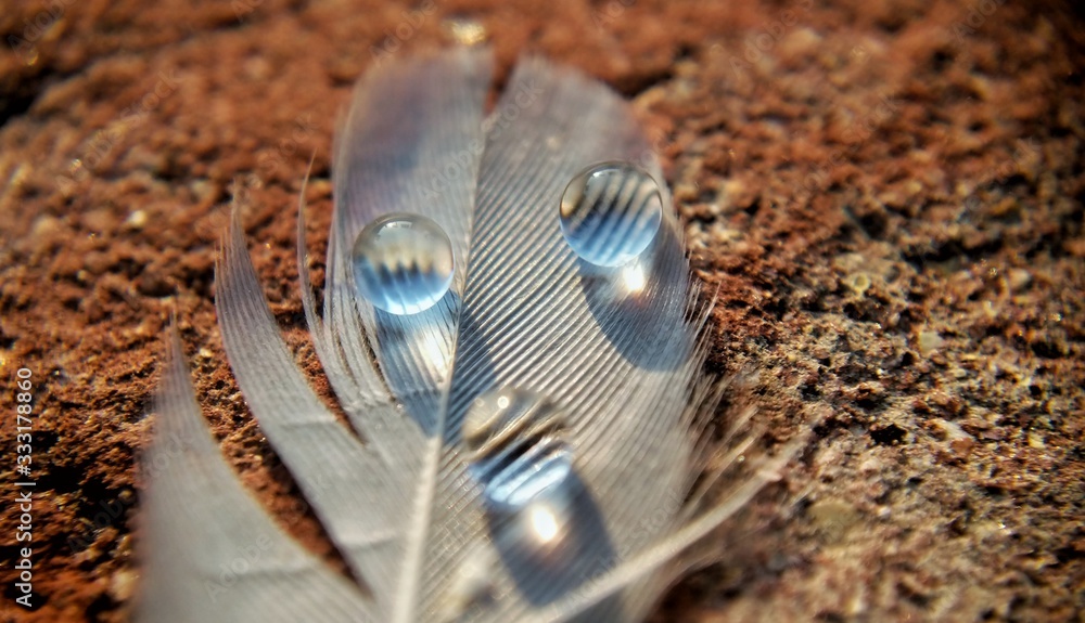 Three drops of water Three drops of water