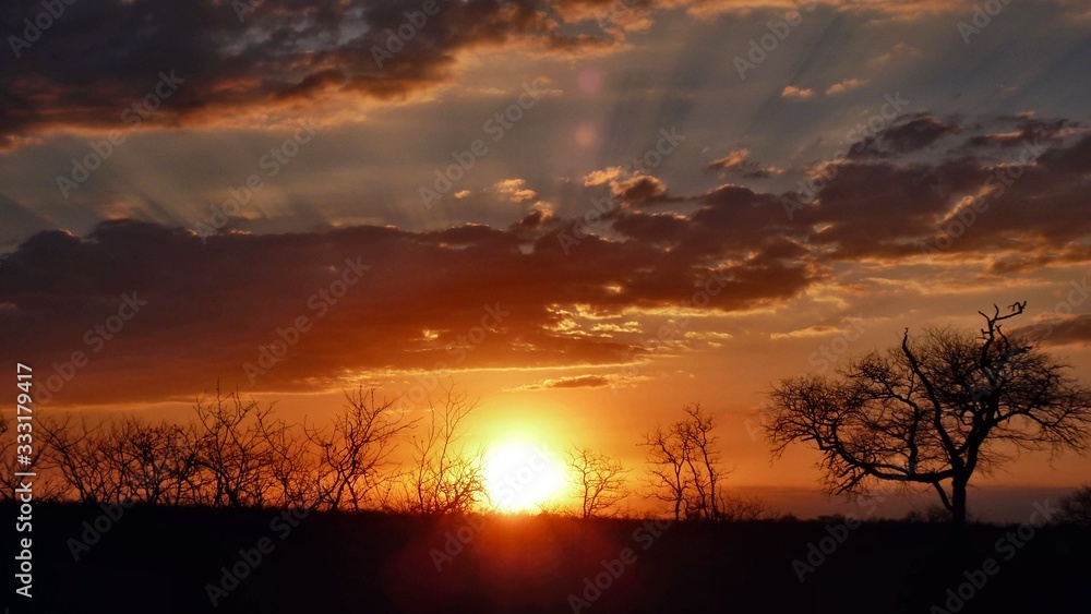 tramonto africano tramonto africano