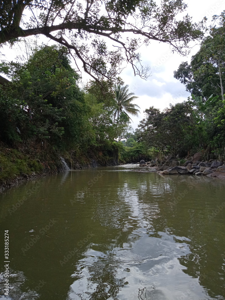 Mountain river flowing through the green forest Mountain river flowing through the green forest