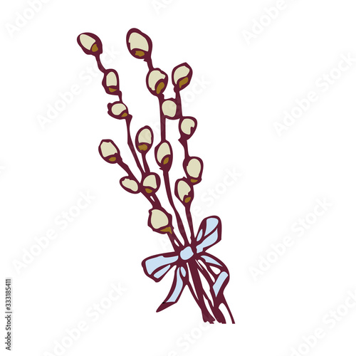 Pussy willow twigs tied with a blue ribbon. Vector illustration in cartoon style. Isolated on a white background.