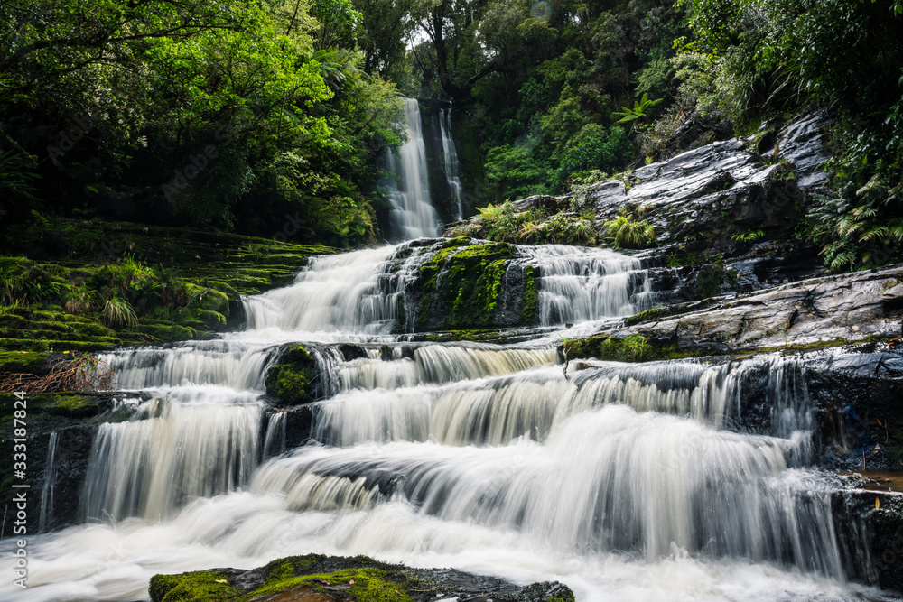 Obraz premium mclean falls waterfall in the forest