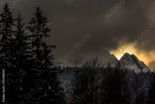 Fototapeta Naklejka Na Ścianę i Meble -  Gietont