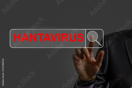 Hantavirus word cloud concept on grey background photo