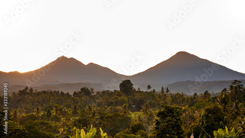Beautiful views of the forest and mountains at sunrise