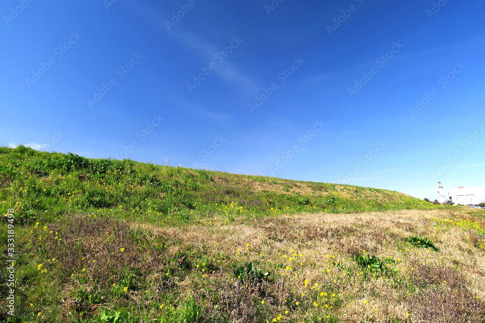 青空と菜の花咲き始めた春の江戸川土手風景 青空と菜の花咲き始めた春の江戸川土手風景