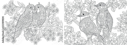 Coloring pages. Couple of lovely birds in floral garden. 