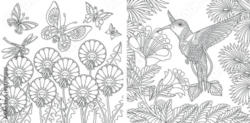 Coloring pages. Vintage butterflies and hummingbird among flowers. 