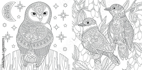 Coloring pages. Beautiful owl and couple of lovely birds in the garden. 