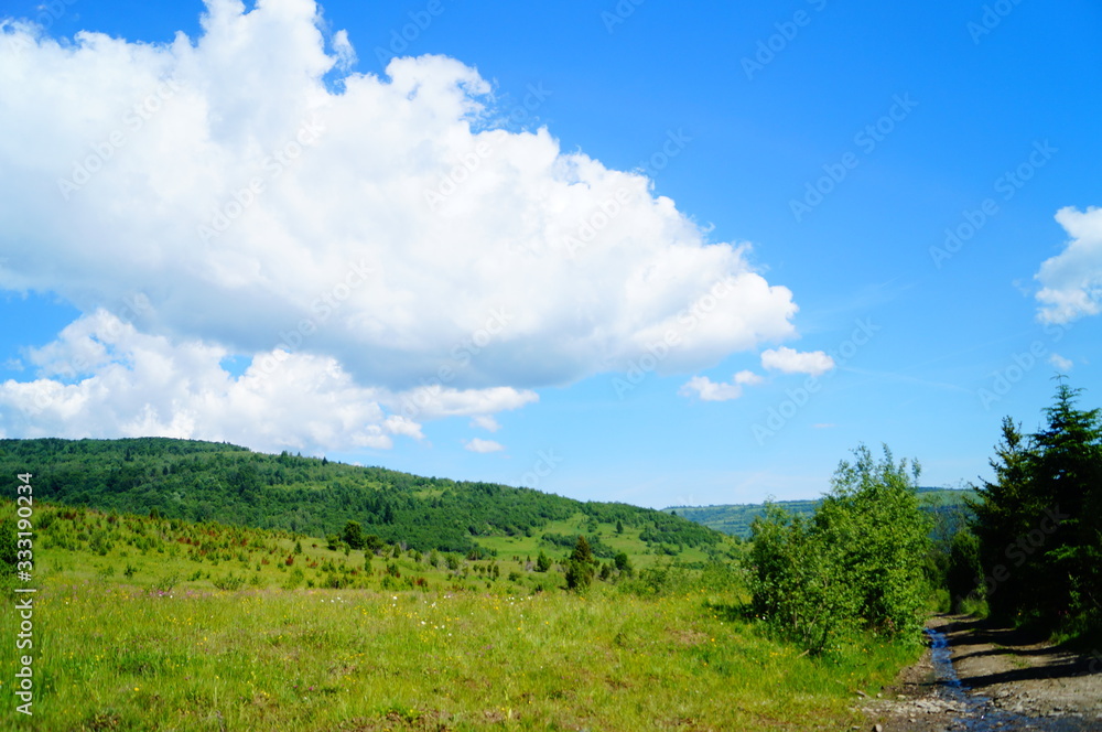 Panoramic view of the Carpathian mountains covered by a green forest under a blue sky and white clouds Panoramic view of the Carpathian mountains covered by a green forest under a blue sky and white clouds