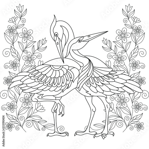 Coloring page. Beautiful crane birds among flowers. 