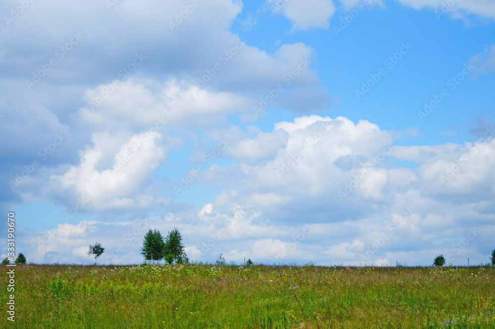 Summer flowering meadow in the Carpathian mountains under a blue sky on a sunny summer day