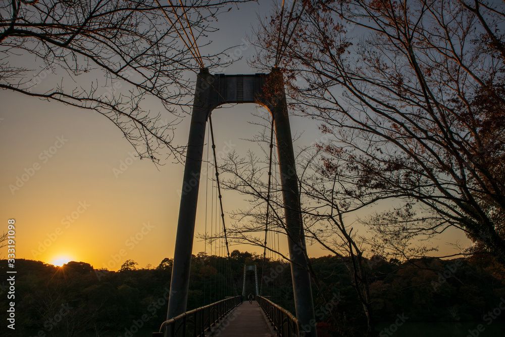 夕日に照らされた橋