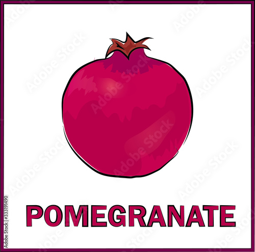 pomegranate on white background