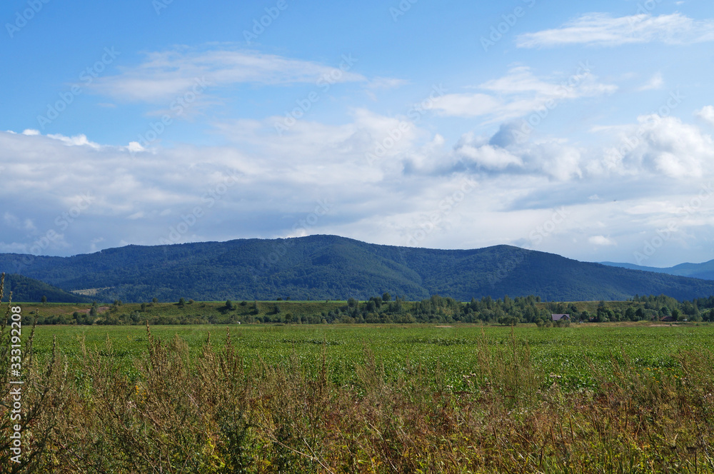 Panoramic view of the Carpathian mountains covered by a green forest under a blue sky and white clouds