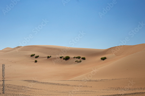 Wüste in den Vereinten arabischen Emirate.