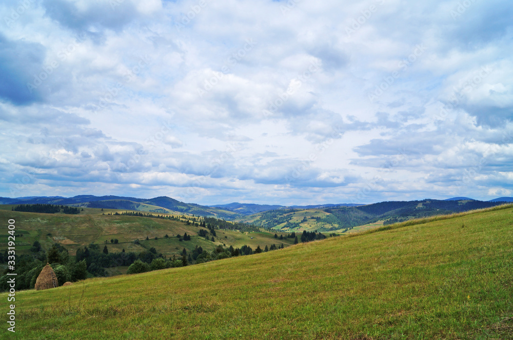 Panoramic view of the Carpathian mountains covered by a green forest under a blue sky and white clouds