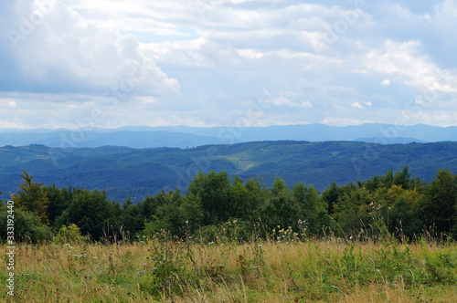 Panoramic view of the Carpathian mountains covered by a green forest under a blue sky and white clouds