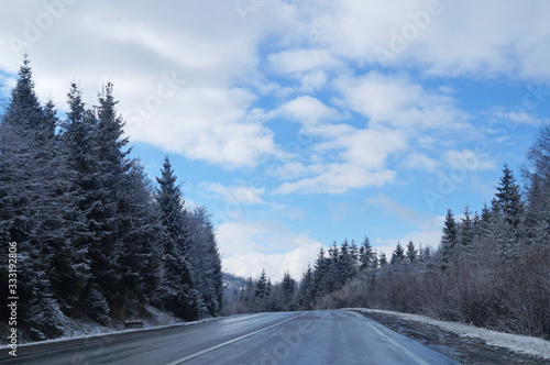 Mountain road between tall fir trees covered with snow under a blue sky with white clouds on a winter day