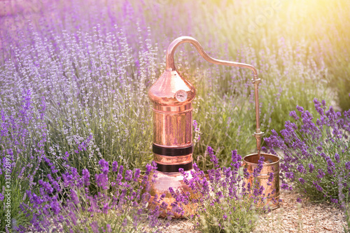 Photos Distilling apparatus alembic on the ground with esential oil between of lavender field lines
