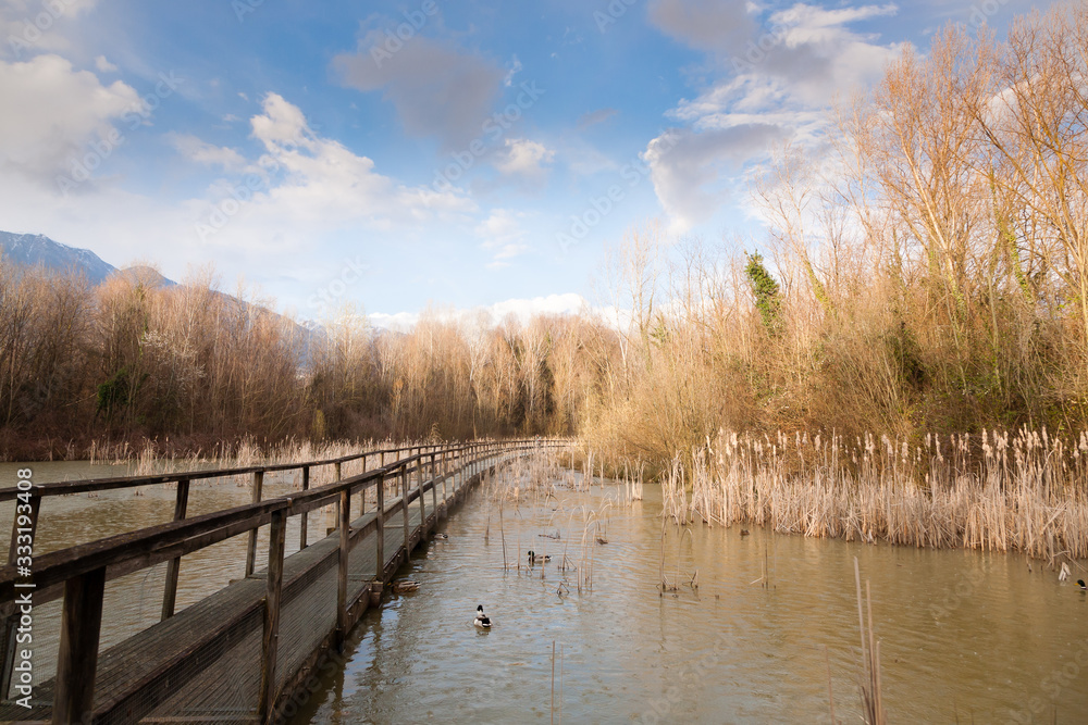 Old wood footbridge on lagoon, rural landscape Old wood footbridge on lagoon, rural landscape