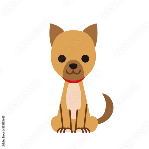 犬・子犬・ペット