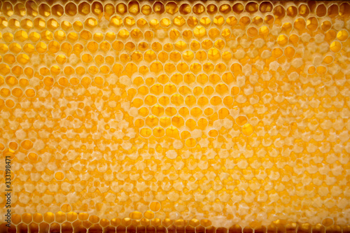 yellow honeycombs empty and filled with honey  natural wallpaper