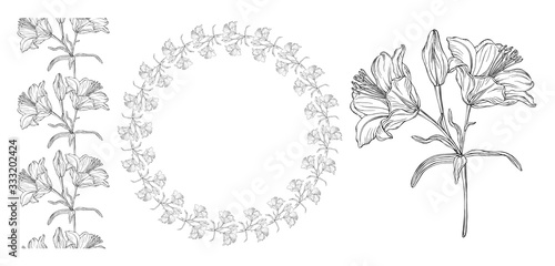 vector graphics of a floral composition with flowers lilies 3