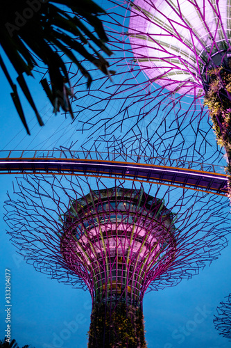 Gardens By The Bay Light Show in Singapore photo