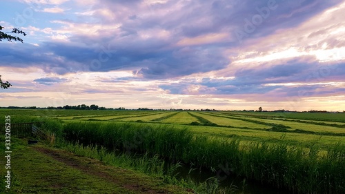 Green fields in the evening with purple clouds far horizont
