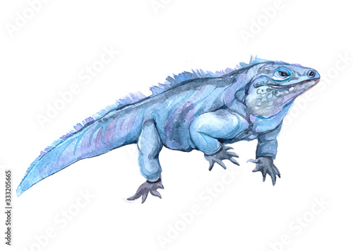Watercolor  iguana animal on a white background illustration 