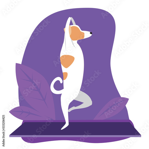 Dog or jack russell terrier practices yoga, flat stock vector illustration with character puppy or tropical plants as a concept of healthy lifestyle