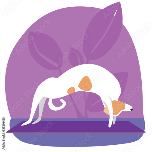 Jack Russell Terrier or dog doing stretching or asana, flat stock vector illustration with pet character and tropical plants as a yoga concept