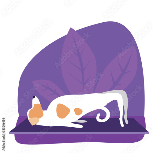 Jack Russell Terrier or dog doing yoga or asana, flat stock vector illustration with pet character and tropical plants as a concept of spiritual health