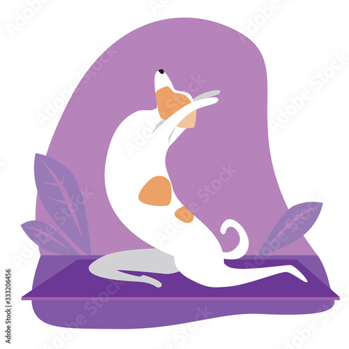 Nordic jack russell terrier or dog doing yoga or asana, flat stock vector illustration with pet character and tropical plants as a yoga concept