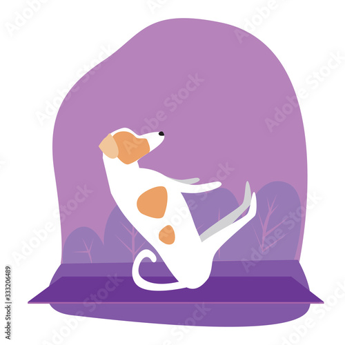 Pet or jack russell terrier doing yoga or asana, flat stock vector illustration with character dog and tropical plants as a concept of meditation