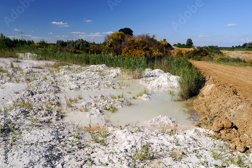 Feuchtgebiet in einer Industrie-Brache als Lebensraum für Amphibien photo