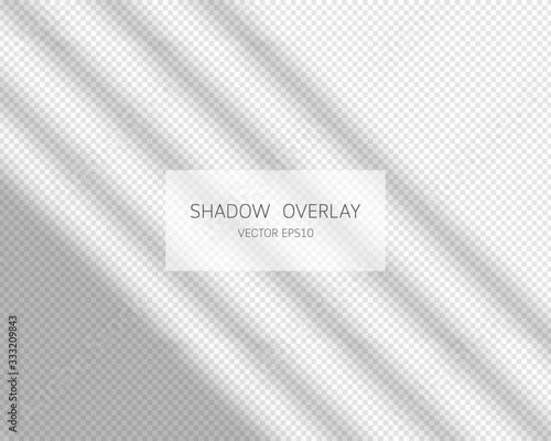 Shadow overlay effect. Natural shadows from window isolated on transparent background. Vector illustration. 
