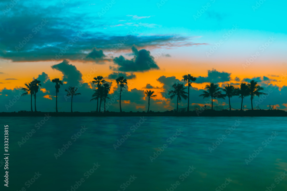 sunset beach palm tree tropical clouds sky orange sea ocean island sunrise coast florida dusk beautiful eden coconut impressions sun silhouette traveling sand vacation nature