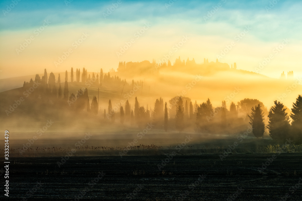 Fototapeta premium a golden misty sunrise over the cypress trees of Leonina, crete senesi