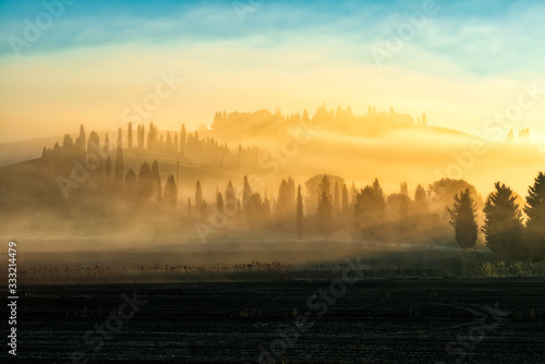 a golden misty sunrise over the cypress trees of Leonina  crete senesi