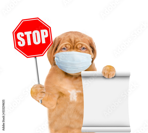 Puppy wearing medical mask shows stop sign and holds empty list. Isolated on white background © Ermolaev Alexandr