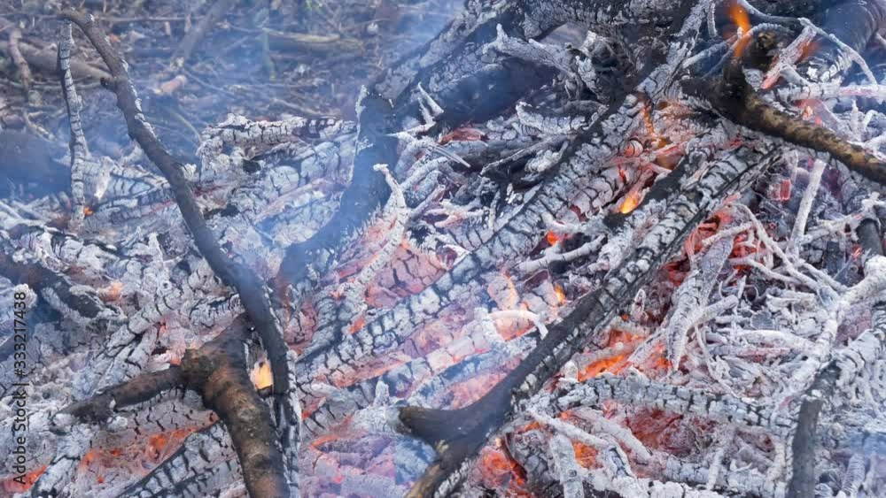 A burning bonfire in a natural setting. Orange and red flames and gray smoke blown away by the wind. Burning sticks. A burning bonfire in a natural setting. Orange and red flames and gray smoke blown away by the wind. Burning sticks.