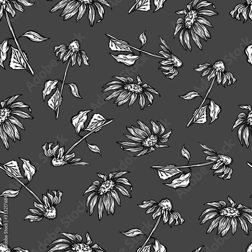 pattern seamless medical plants echinacea flower nature vector background illustration texture textile wrap homeopathic