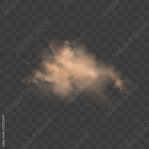 Dust sand cloud with stones and flying dusty particles isolated on transparent background. Desert sandstorm. Realistic vector illustration