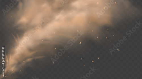 Dust sand cloud with stones and flying dusty particles isolated on transparent background. Desert sandstorm. Realistic vector illustration